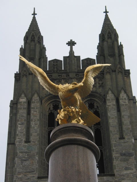 Boston College brings back live bald eagle mascot after 47 years